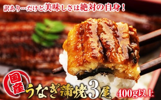 【訳あり】山梨県産富士山脈の地下水うなぎの蒲焼 3尾400g以上+100g肝焼きセット 138-004