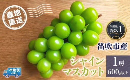 【2026年発送★先行予約】シャインマスカット 1房600g以上 クール便対応 136-007-26y