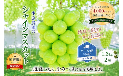 【2026年発送★先行予約】フルーツ王国笛吹市のシャインマスカット2房1.3kg クール便配送 137-001-26y