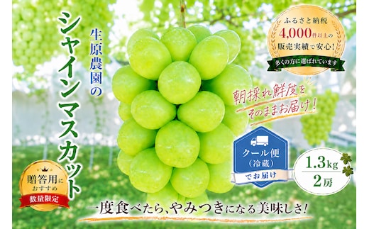 【2026年発送★先行予約】フルーツ王国笛吹市の【プレミアム大房】シャインマスカット1房700g以上 137-002-26y