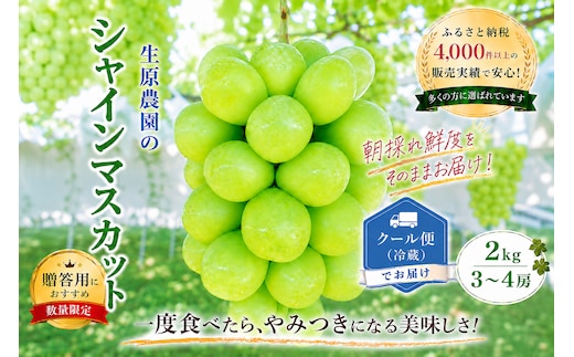 【2026年発送★先行予約】フルーツ王国笛吹市の大粒シャインマスカット3~4房2kg 137-003-26y