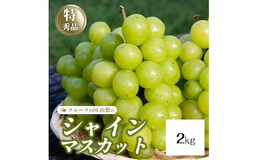 【2026年発送★先行予約】シャインマスカット 4~5房（2kg以上） 154-008-2kg 