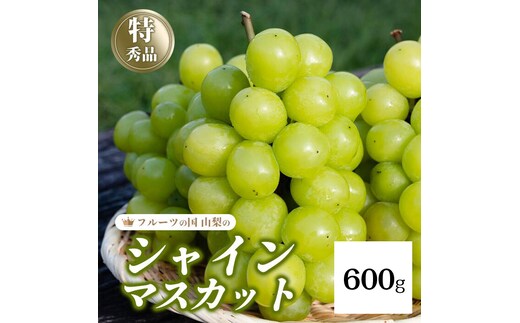 【2026年発送★先行予約】シャインマスカット 1~2房（600g以上） 154-008-600g