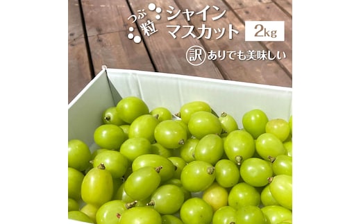 【2026年発送★先行予約】【訳あり】 シャインマスカット 粒 2kg以上 154-033-2kg