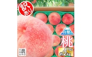 【2026年発送★先行予約】日本一の生産量 山梨県産 桃 訳あり 不揃い 大容量 8玉～12玉 約2kg　154-031