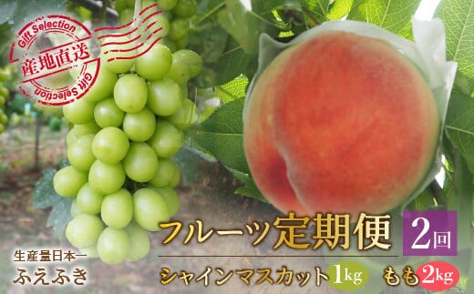 【2026年発送★先行予約】厳選！大人気セット！笛吹市全２回定期便～もも2kg シャインマスカット1kg～ 156-100