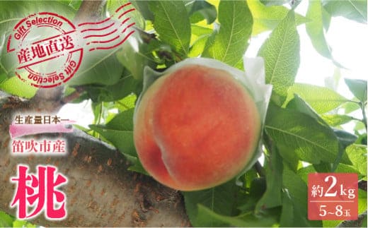 【2026年発送★先行予約】厳選！山梨県笛吹市産桃 約2kg（5～8玉） 156-003-26y