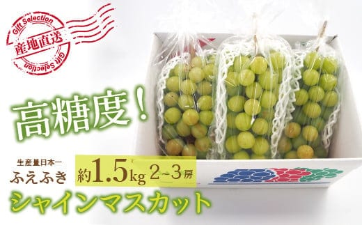 【2026年発送★先行予約】厳選！山梨県笛吹市産 シャインマスカット 約1.5kg(2～3房) 156-006-26y
