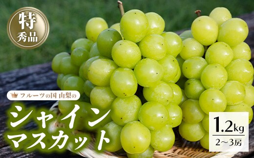 【2026年発送★先行予約】シャインマスカット 約1.2kg 2～3房 154-007