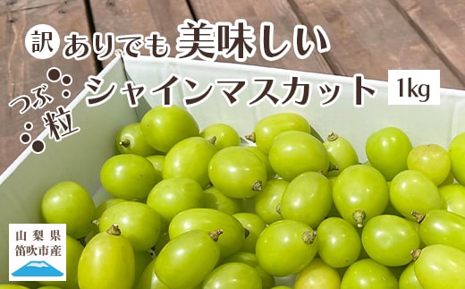 【2026年発送★先行予約】【訳あり】 シャインマスカット 粒 1kg以上 154-033