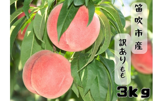 【2026年発送★先行予約】笛吹市産訳あり桃 約3kg 167-026-26y ※東北、関東、信越、中部のみ発送