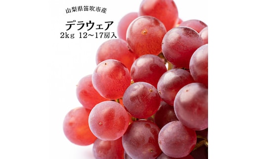 【2026年発送★先行予約】笛吹市産デラウェア12～17房 2kg 167-051