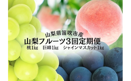 【2026年発送★先行予約】山梨のフルーツ定期便 全３回 桃 巨峰 シャインマスカット 167-140