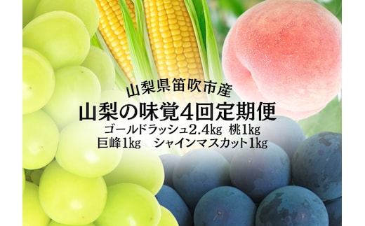 【2026年発送★先行予約】山梨の味覚定期便 全4回 ゴールドラッシュ 桃 巨峰 シャインマスカット 167-141