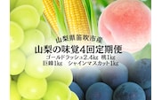 【2026年発送★先行予約】山梨の味覚定期便　全4回　ゴールドラッシュ　桃　巨峰　シャインマスカット 167-141