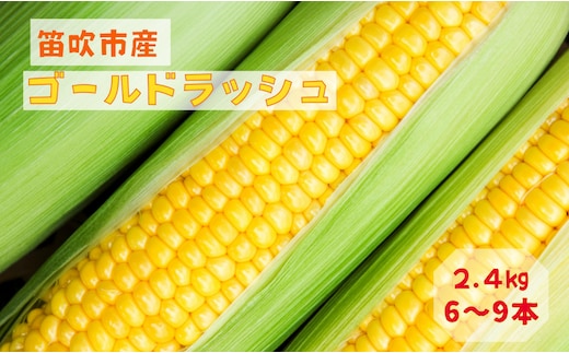 【2026年発送★先行予約】笛吹市八代産とうもろこし「ゴールドラッシュ」2.4kg 167-003