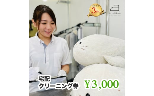 ネットで洗濯クリーニング券3,000円分 166-004
