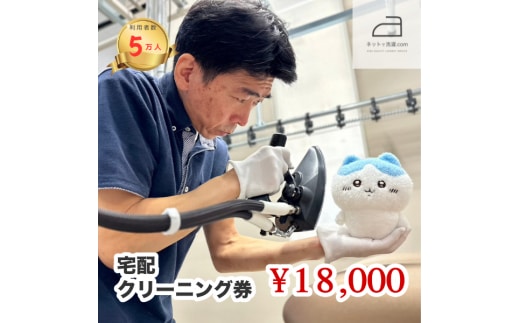 ネットで洗濯クリーニング券18,000円分 166-006
