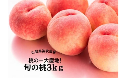 【2026年発送★先行予約】桃の一大産地！笛吹市産旬の桃3kg 167-011