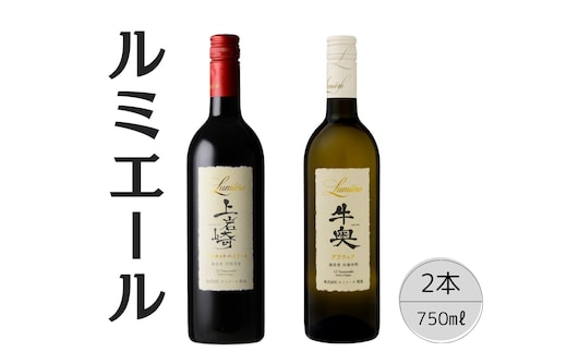 ルミエール 上岩崎 マスカット・ベイリーＡ・牛奥 デラウェア2本セット 167-122