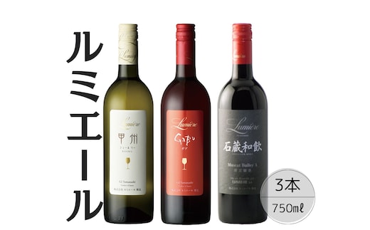 ルミエールおすすめ赤白ワイン3本セット 167-127