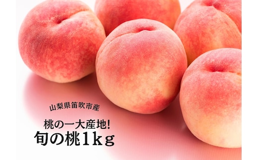【2026年発送★先行予約】桃の一大産地！笛吹市産旬の桃約1kg 167-164