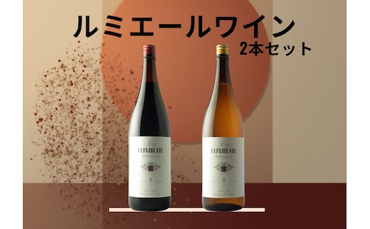 ルミエール プチルミエール赤白一升瓶 2本セット 167-189