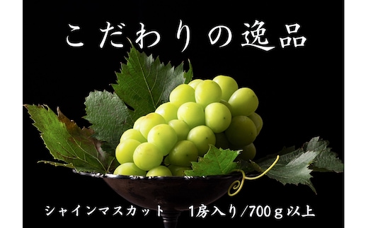 【2026年発送★先行予約】『数量限定』『ギフトや贈答用に』契約農家厳選シャインマスカット700ｇ以上１房入 167-030