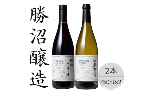 勝沼醸造 穂坂ベーリーA・山梨甲州樽発酵2本セット 167-043