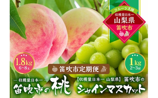 【2026年発送★先行予約】『山梨夏の味覚定期便』笛吹市産旬の桃とシャインマスカット各１回 167-014