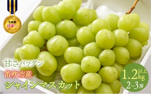 【2026年発送★先行予約】甘さ抜群プリプリ シャインマスカット 2～3房 1.2kg以上 168-001-26y