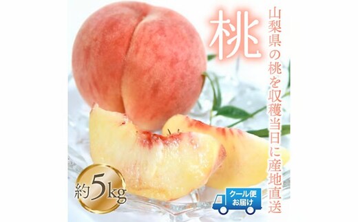 【2026年発送★先行予約】桃 5kg 株式会社華栄牛産 179-006-26y