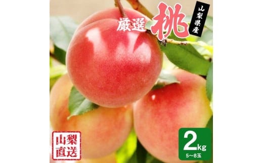【2026年発送★先行予約】 厳選!!池田青果の桃 2kg 5～8玉 173-004