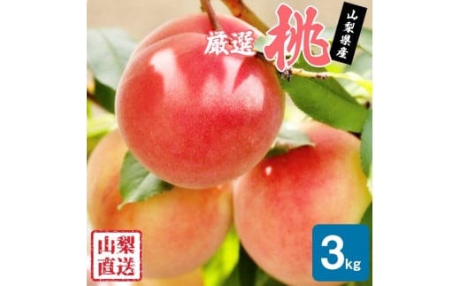 【2026年発送★先行予約】厳選!!池田青果の桃 3kg 8～13玉 173-005