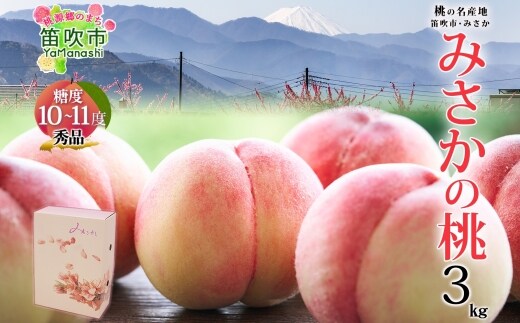 【2026年発送★先行予約】桃 秀品 3kg 糖度10％以上 ※クール便配送 177-005