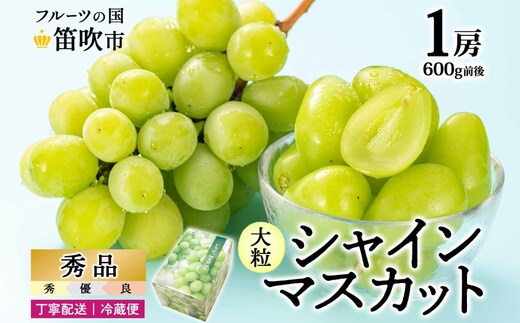 【2026年発送★先行予約】シャインマスカット 1房 600g前後 クール便配送 177-008