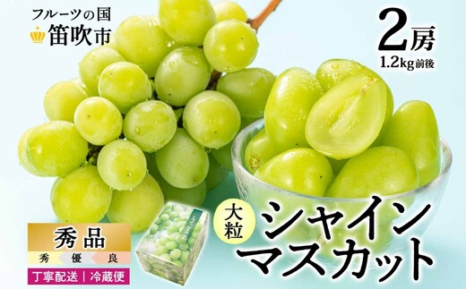 【2026年発送★先行予約】シャインマスカット 2房 1.2kg前後※クール便配送 177-009