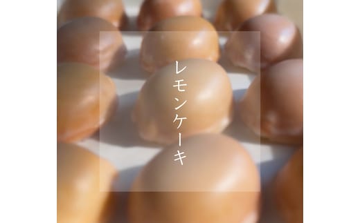 焼き菓子 TRICKLE レモンケーキ 6個入り 197-005