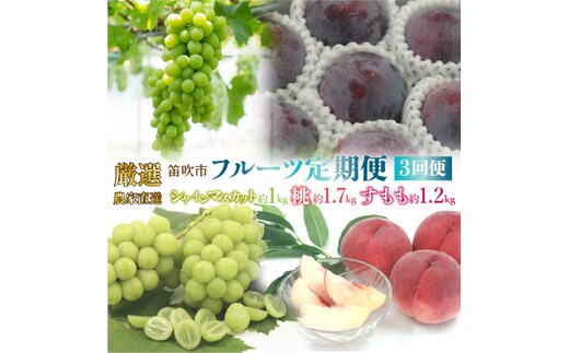 【2026年発送★先行予約】 笛吹市産 厳選!農家直送「フルーツ定期便3回便」 205-011-26y