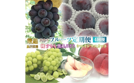 【2026年発送★先行予約】笛吹市産 厳選!農家直送「フルーツ定期便4回便」 205-012-26y
