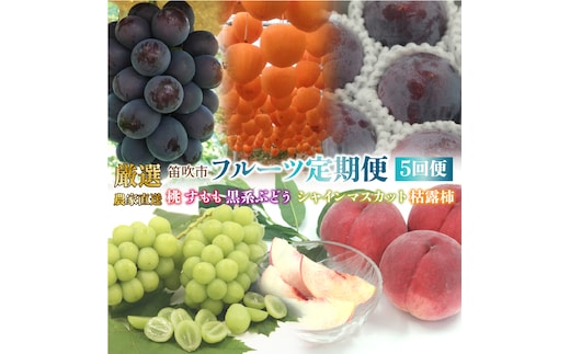 【2026年発送★先行予約】笛吹市産　厳選!農家直送「フルーツ定期便5回便」 205-013-26y