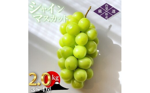 ＜26年発送先行予約＞笛吹市産 厳選シャインマスカット［2.0kg］（3～4房）フルーツ大国！山梨県笛吹市より産地直送 209-005