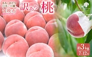 【2026年発送★先行予約】笛吹市産　訳あり桃 約3kg（7～12玉） 205-003-26y