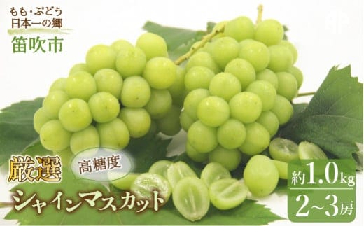 【2026年発送★先行予約】笛吹市産 厳選! シャインマスカット 2～3房 約1.0kg 205-004-26y