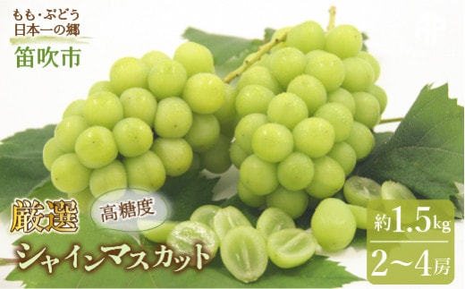 【2026年発送★先行予約】笛吹市産 シャインマスカット 約1.5kg（2～4房） 205-007ｰ26y
