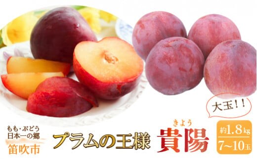 【2026年発送★先行予約】笛吹市産 貴陽 約1.8kg （大玉7～10玉） 205-008