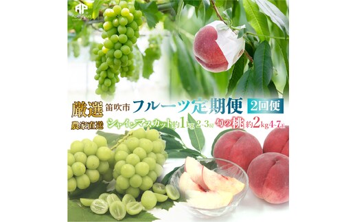【2026年発送★先行予約】笛吹市産 厳選!農家直送「フルーツ定期便2回便」 205-006-26y