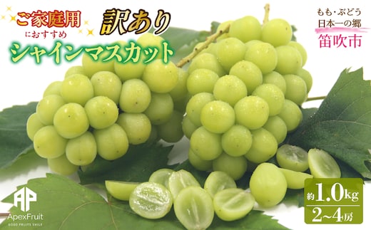 【2026年発送先行予約】笛吹市産 【訳あり】シャインマスカット 約1.0kg（２～4房） 205-021-26y