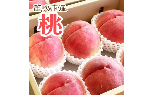 【2026年発送★先行予約】笛吹市産白桃 1箱2kg程度 229-006-26y