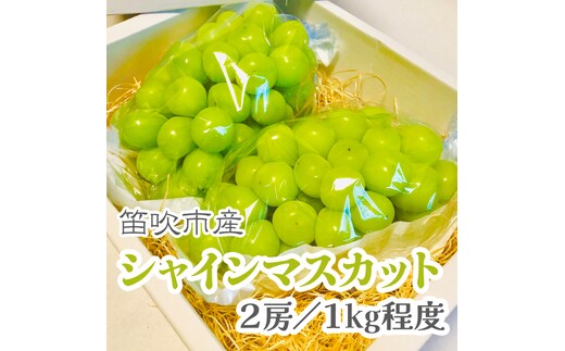 【2026年発送★先行予約】こだわりの逸品! 甘さと香り際立つ山梨県産シャインマスカット2房(合計1kg程度) 229-001-26y